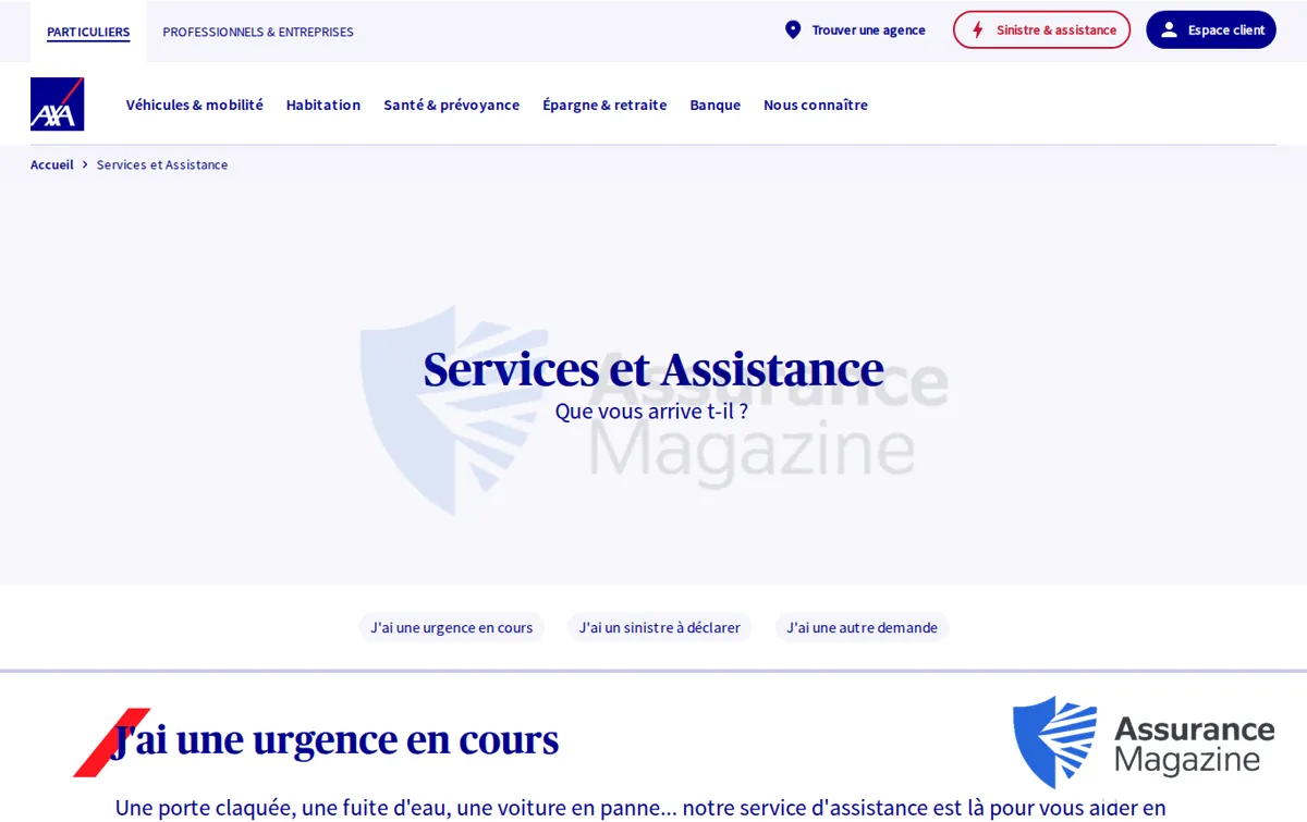 Capture : Services et Assistance